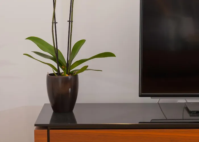 By Vestibul Palace Aparthotel 4*