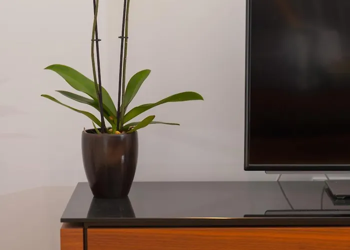 By Vestibul Palace Aparthotel 4*